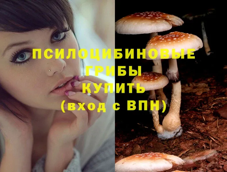 Галлюциногенные грибы Psilocybine cubensis  где купить наркоту  kraken ССЫЛКА  Урюпинск 