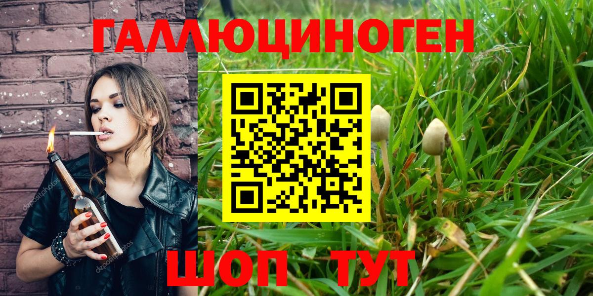 Галлюциногенные грибы Magic Shrooms  Вход с VPN  Урюпинск 